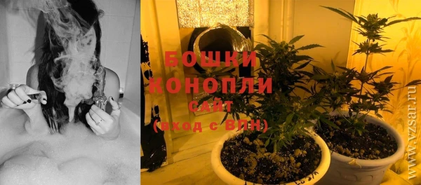 шишки Володарск