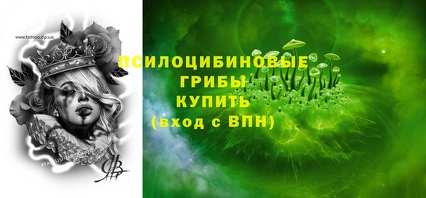 шишки Володарск