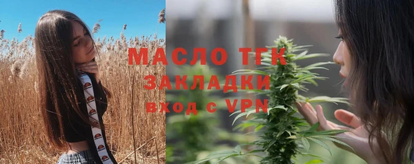 шишки Володарск