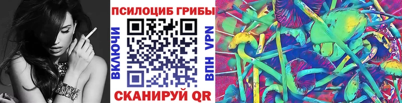 Купить  Ханты-Мансийск  Псилоцибиновые грибы Psilocybe 